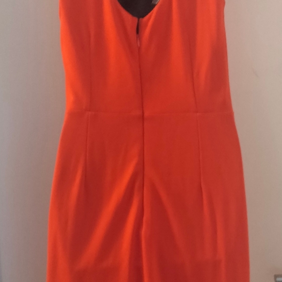 Vivid Orange Bodycon Dress BNWOT - Picture 2 of 3